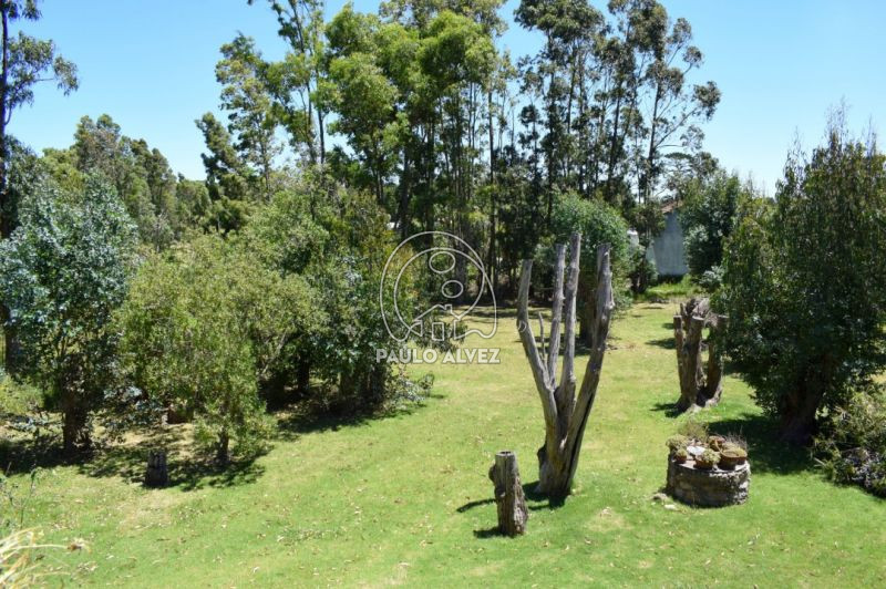 Vista al parque