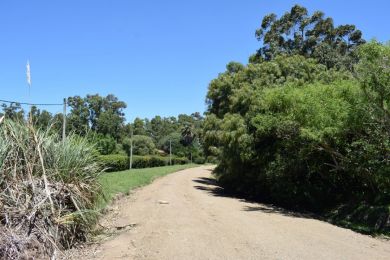 Venta, Alquiler Temporal  Maldonado Bella Vista