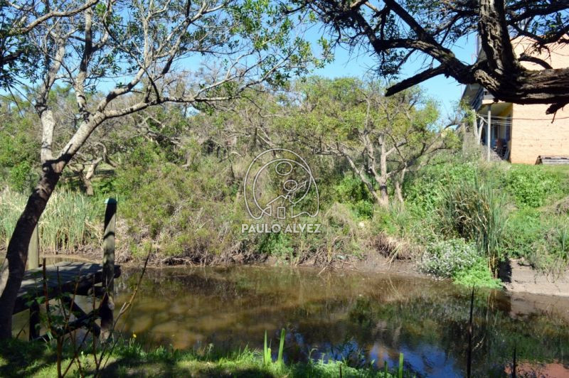 Arroyo al fondo